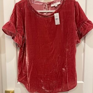 Loft Velvet Blouse